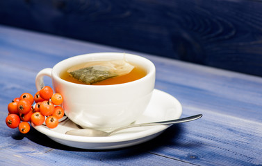 Herbal tea. Ceramic cup hot fresh brewed tea beverage. Cafe menu. Health care folk remedies. Drink aromatic rowanberry beverage. Cup of tea on blue background close up. Gourmet delicious taste