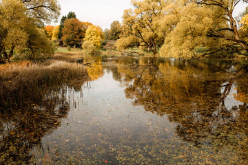 Obraz premium view of beautiful lake in the autumn evening