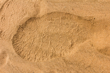 Elephant footprint in the sand © Chris