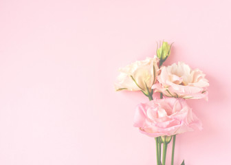 Beautiful pink and white eustoma flower (lisianthus) in full bloom with green leaves. Bouquet of flowers on pink background.