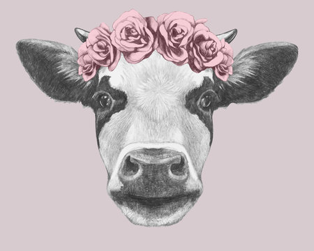 Portrait of Cow with floral head wreath. Hand drawn illustration. Vector isolated elements.