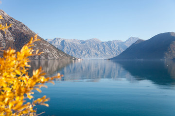 Autumn landscape. Fall leaves on sea background. Yellow and orange tree near blue water. Beach with amazing reflections of mountains. The Kotor Bay, Montenegro. Copy space, place for text.