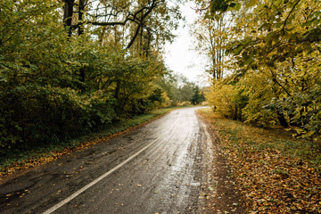 beautiful country road, rural road in autumn afternoon