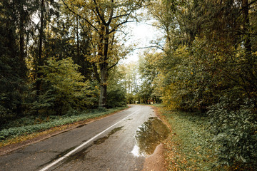 Obraz premium beautiful country road, rural road in autumn afternoon