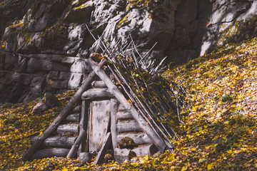 Dugout (or dug-out, pit-house, cellar dug) from logs in the forest. Traditional shelter for humans and livestock based on a hole  into the ground. Natural historical museum of dugouts. Toned