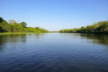 Fototapeta na wymiar Tranquil view over a typical Pantanal river framed with green vegetation and blue sky, Pantanal Wetlands, Mato Grosso, Brazil