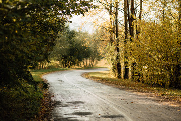 beautiful country road, rural road in autumn afternoon
