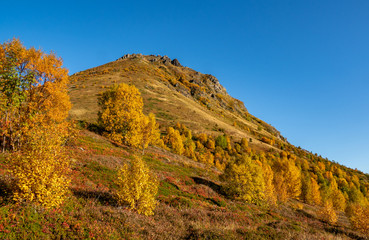 A mountain in fall