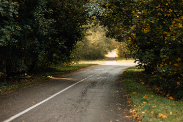 Obraz premium beautiful country road, rural road in autumn afternoon
