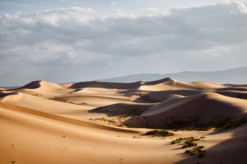 Fototapeta na wymiar Sands Hongoryn Els in the Gobi Desert, Mongolia