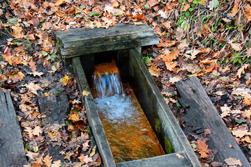 Water spring in autumn forest