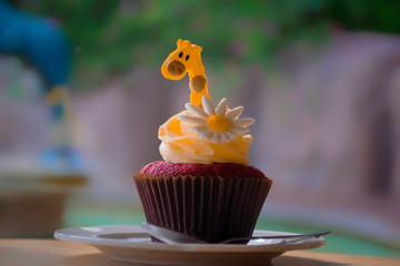 Chocolate cupcakes.chocolate cupcakes place on table.