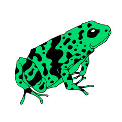 Frog cartoon tropical green animal cartoon nature icon funny and isolated mascot character wild funny forest toad amphibian vector illustration.