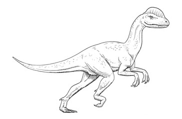 Obraz na płótnie Canvas Drawing of dinosaur - hand sketch of Dilophosaurus, black and white illustration