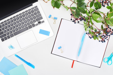 top view of laptop near notebook with pen, wild grapes branch with green leaves and berries, sticky notes, paper binders and clips isolated on white