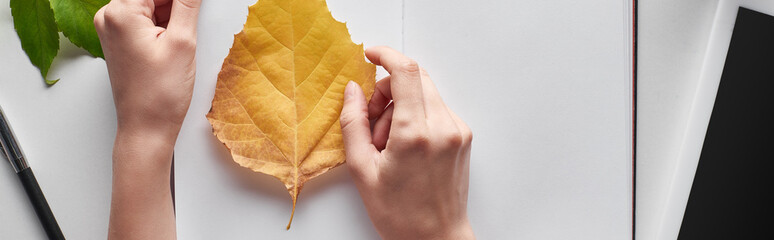 cropped view of female hands near yellow leaf of alder, blank notebook and digital tablet on white table, panoramic shot