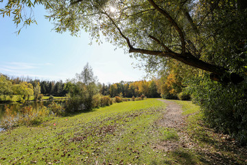 Autumn colors along the hiking trail. Afternoon sun shining through the trees
