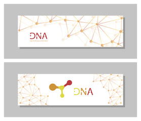 Set flyer, brochure size A4 template,banner. Molecular structure with connected lines and dots. Scientific pattern atom DNA with elements for magazine, leaflet, cover, poster design