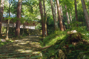 滋賀県、湖東三山の百済寺参道から見える本堂と美しい緑