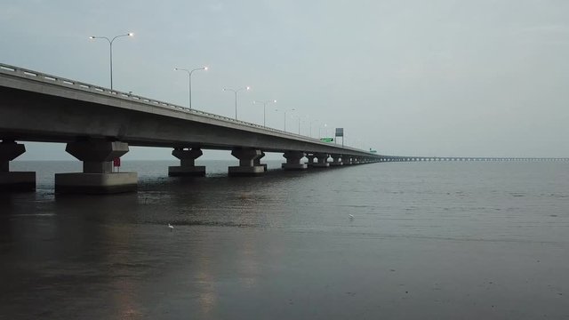 Egrets bird searching food near Penang second bridge (Sultan Abdul Halim Muadzam Shah Bridge)
