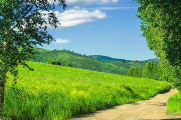 Winding Highland Country Road with Grassy Hillside and Birch Trees along the Road on a Hot Summer Day.