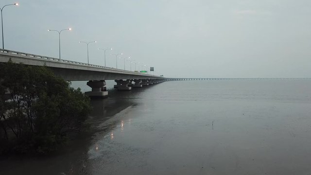 Fly beside mangrove tree near Penang second bridge (Sultan Abdul Halim Muadzam Shah Bridge)