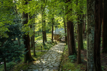 滋賀県、湖東三山の百済寺の仁王門と石畳の参道の風景