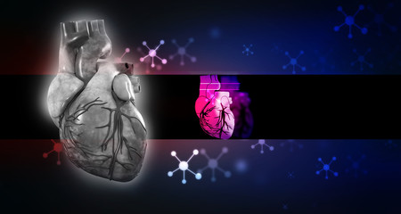 Fototapeta na wymiar 3d illustration Anatomy of Human Heart 