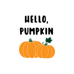 Hand sketched "Hello, pumpkin" quote with pumpkins, isolated on white background. Lettering for postcard, invitation, poster, icon, banner template typography.