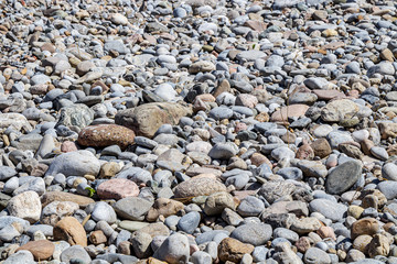 Natural pebble stone and cobblestone in nature close-up