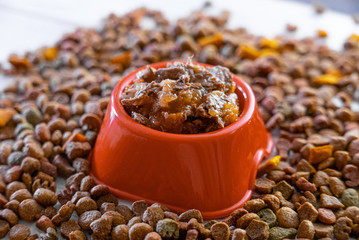 Natural wet pet food in a red or orange plastic bowl