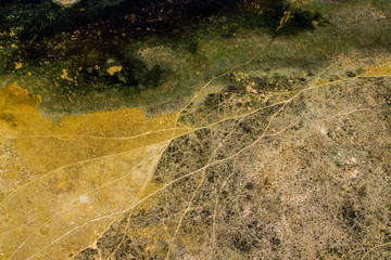 African safaris and Landscapes