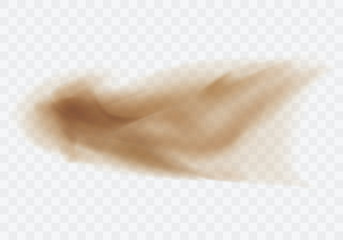 Desert sandstorm, brown dusty cloud or dry sand flying with gust of wind, big explosion realistic texture vector illustration isolated on transparent background