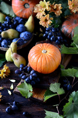 Autumn still life: pumpkins, grapes, pears on a dark background