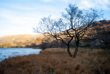 Wales – Snowdonia National Park.  A winters day. Trees, hill and lake.