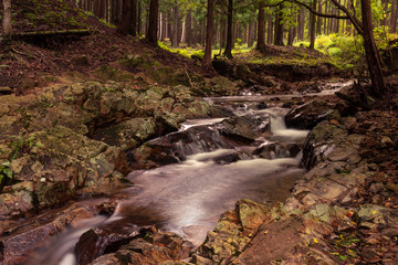 兵庫県・初秋の福知渓谷近傍