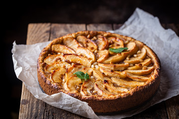 Homemade delicious fresh baked rustic apple pie on dark background