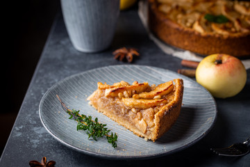 Slice of homemade delicious fresh baked Rustic Apple Pie on gray backgrounf