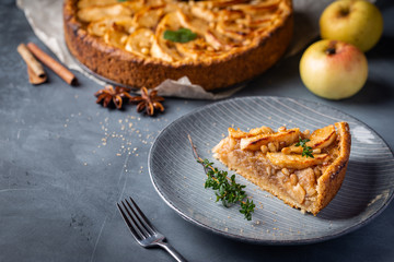 Slice of homemade delicious fresh baked Rustic Apple Pie on gray backgrounf