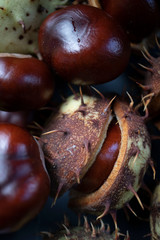 chestnuts on a background