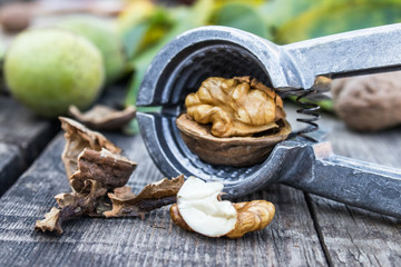 Walnuts and walnut kernels lie on a rustic old wooden table near the nutcracker. Kernels of walnuts.