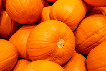 Pile of pumpkins on display at the market. Traditional Haloween decorative pumpkin ready for carving.