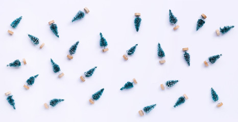 Miniature Christmas pine tree on white background.