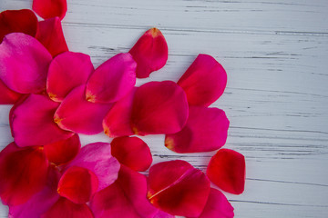 rose petals on a light wooden background. Looks like a background