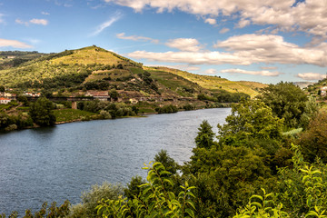 Douro river and vineyards