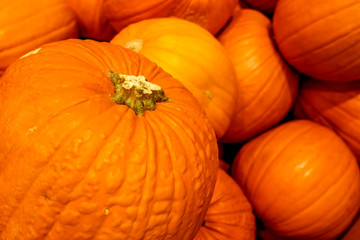 Pile of pumpkins on display at the market. Traditional Haloween decorative pumpkin ready for carving.