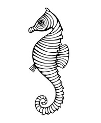vintage hand drawn line art seahorse engraved © movinglines.studio