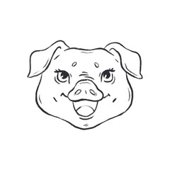 Cute pig. Hand drawn image.