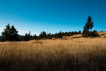 Fototapeta premium trip to mountains krkonoše national park