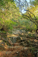 金華山　登山道(馬の背)　岐阜県岐阜市　Mount Kinka　Trail
